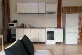 Beautiful, quiet apartment at the heart of Brno